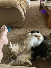 IMG 1139
